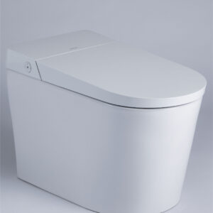 Bacia Sanitaria Inteligente - C21295W-3-VP-01