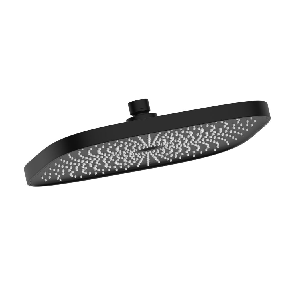 Chuveiro Black Matte - D1250BW-ENG img1